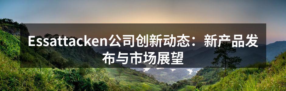 Essattacken公司创新动态：新产品发布与市场展望